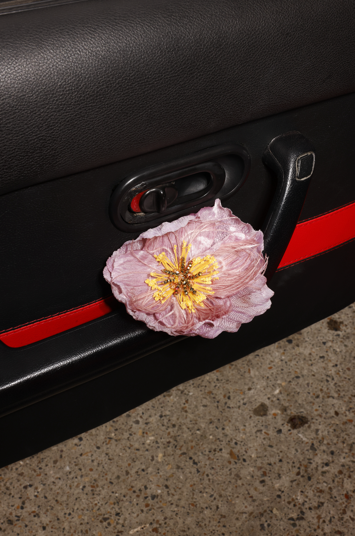 Pin camelia rosa