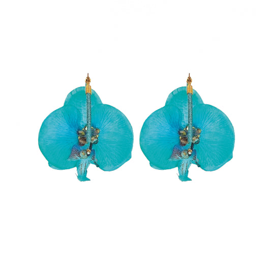 Argollas Orquidea Pequeñas Azules